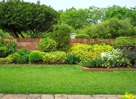 landscaping services Ely